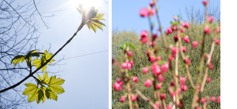 Frühling