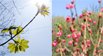 Frühling